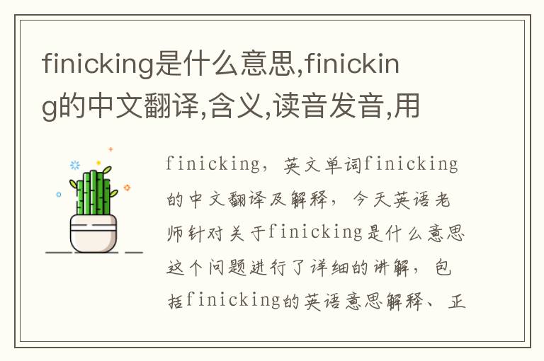 finicking是什么意思,finicking的中文翻译,含义,读音发音,用法,造句,参考例句