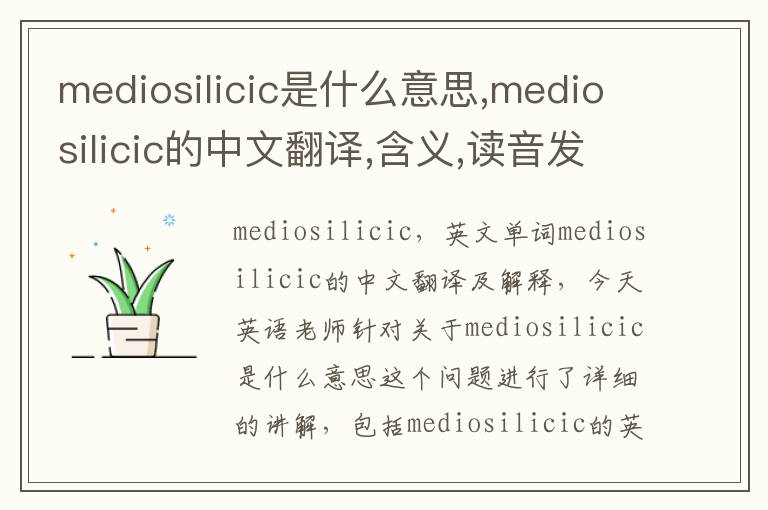 mediosilicic是什么意思,mediosilicic的中文翻译,含义,读音发音,用法,造句,参考例句