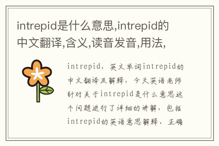 intrepid是什么意思,intrepid的中文翻译,含义,读音发音,用法,造句,参考例句