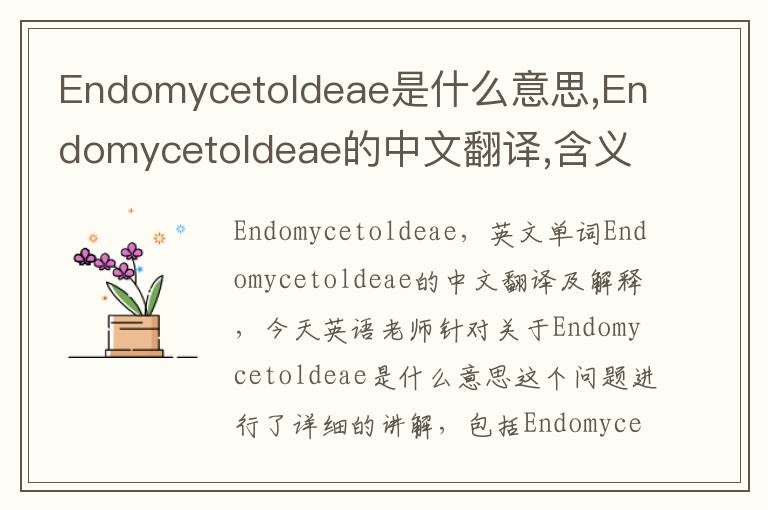 Endomycetoldeae是什么意思,Endomycetoldeae的中文翻译,含义,读音发音,用法,造句,参考例句