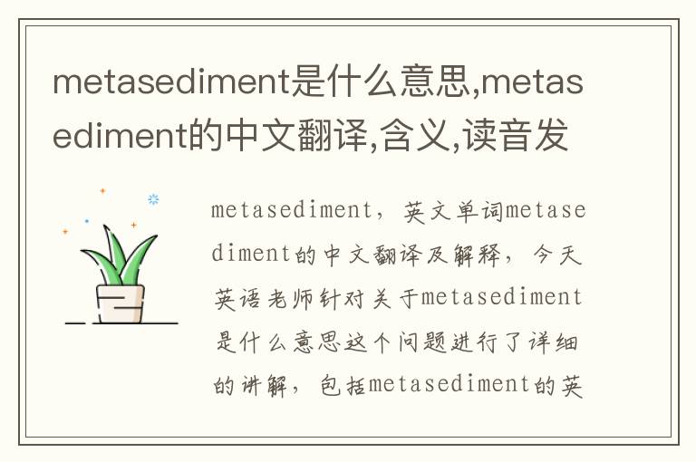 metasediment是什么意思,metasediment的中文翻译,含义,读音发音,用法,造句,参考例句