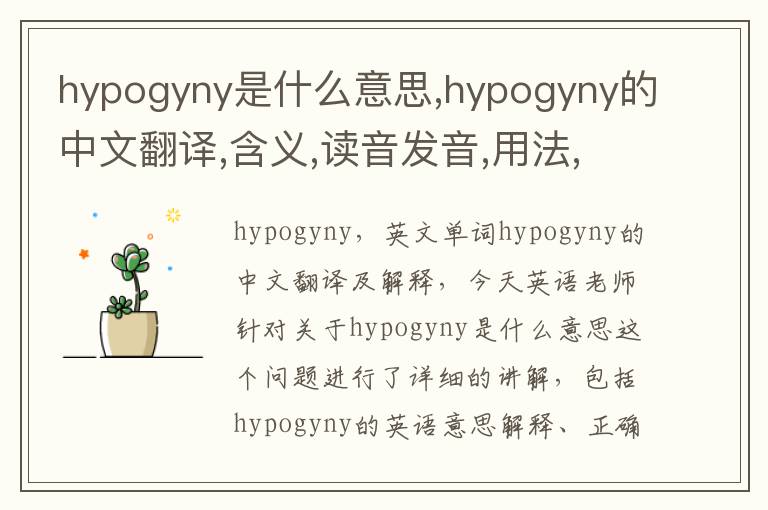 hypogyny是什么意思,hypogyny的中文翻译,含义,读音发音,用法,造句,参考例句