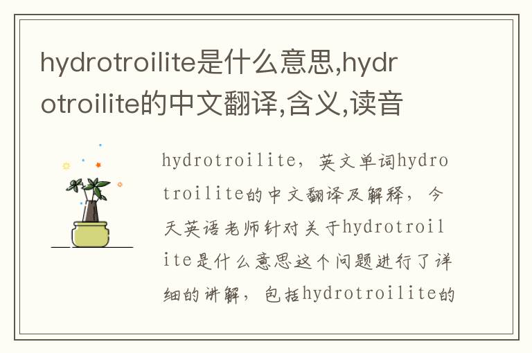 hydrotroilite是什么意思,hydrotroilite的中文翻译,含义,读音发音,用法,造句,参考例句