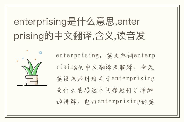 enterprising是什么意思,enterprising的中文翻译,含义,读音发音,用法,造句,参考例句