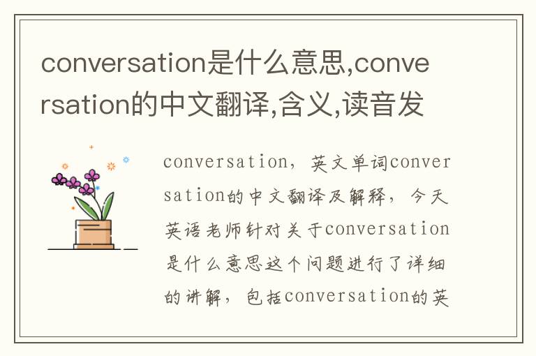 conversation是什么意思,conversation的中文翻译,含义,读音发音,用法,造句,参考例句