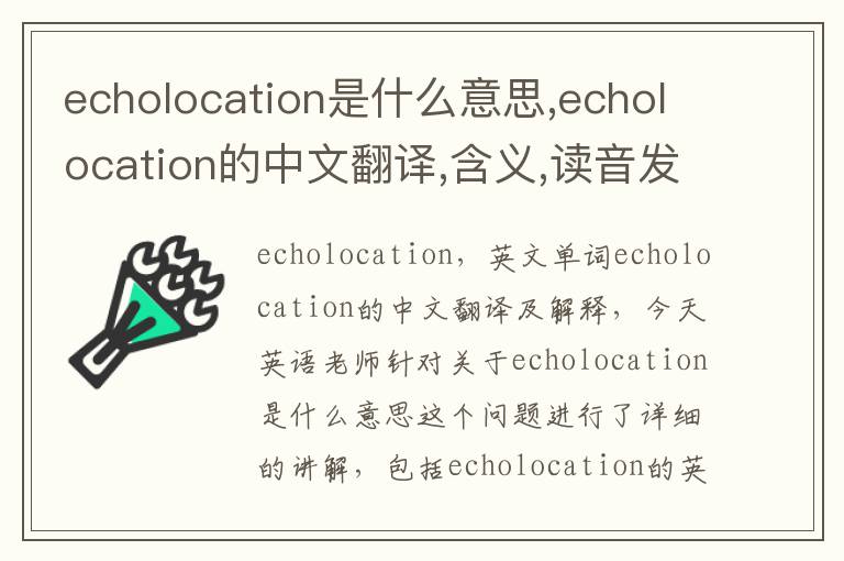 echolocation是什么意思,echolocation的中文翻译,含义,读音发音,用法,造句,参考例句