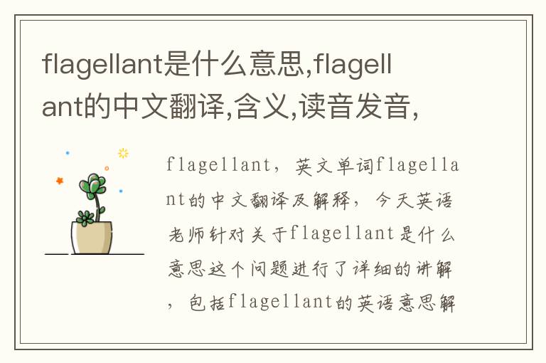 flagellant是什么意思,flagellant的中文翻译,含义,读音发音,用法,造句,参考例句