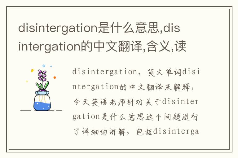 disintergation是什么意思,disintergation的中文翻译,含义,读音发音,用法,造句,参考例句