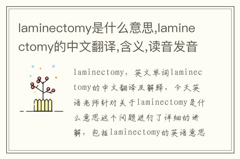 laminectomy是什么意思,laminectomy的中文翻译,含义,读音发音,用法,造句,参考例句