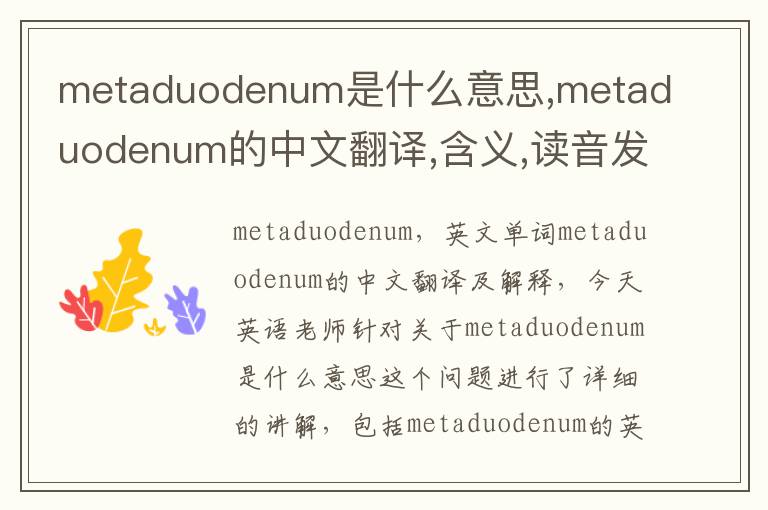 metaduodenum是什么意思,metaduodenum的中文翻译,含义,读音发音,用法,造句,参考例句