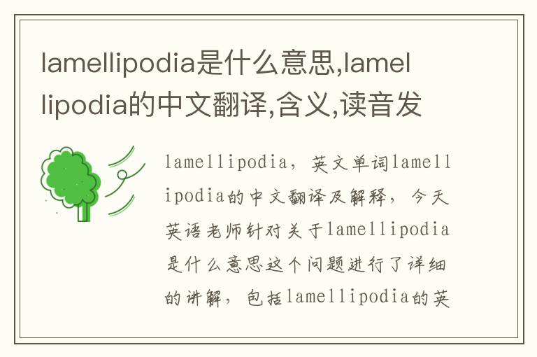 lamellipodia是什么意思,lamellipodia的中文翻译,含义,读音发音,用法,造句,参考例句