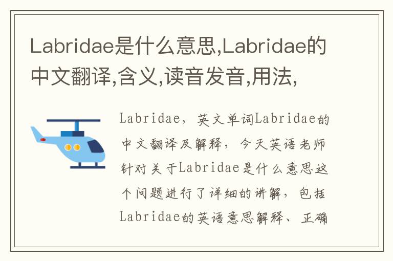 Labridae是什么意思,Labridae的中文翻译,含义,读音发音,用法,造句,参考例句