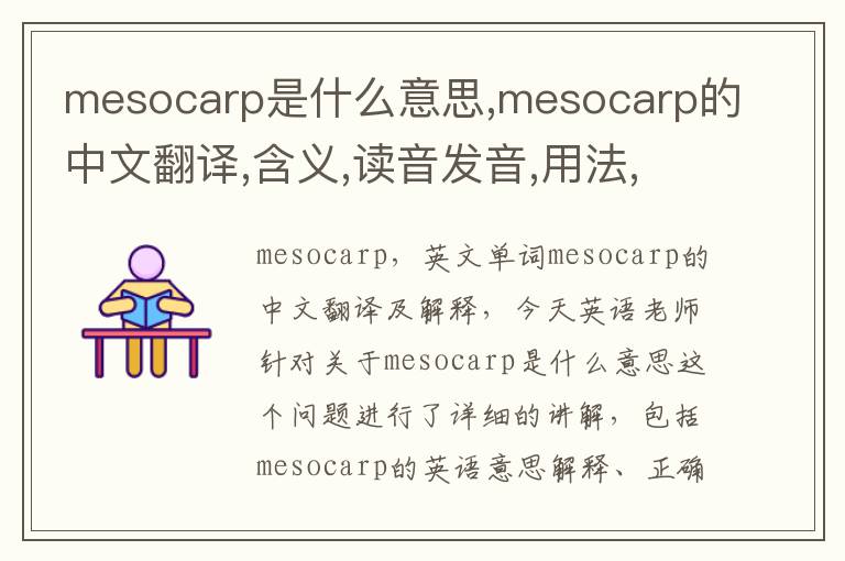 mesocarp是什么意思,mesocarp的中文翻译,含义,读音发音,用法,造句,参考例句