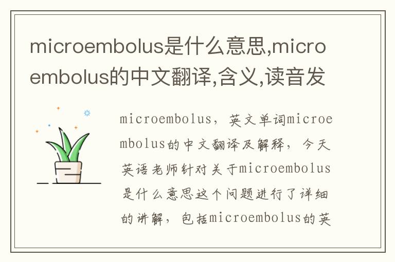 microembolus是什么意思,microembolus的中文翻译,含义,读音发音,用法,造句,参考例句