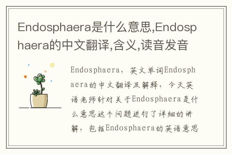 Endosphaera是什么意思,Endosphaera的中文翻译,含义,读音发音,用法,造句,参考例句