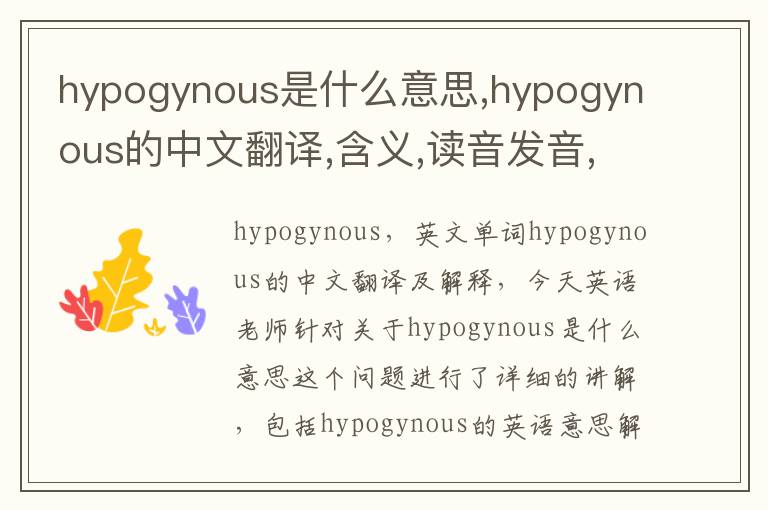 hypogynous是什么意思,hypogynous的中文翻译,含义,读音发音,用法,造句,参考例句