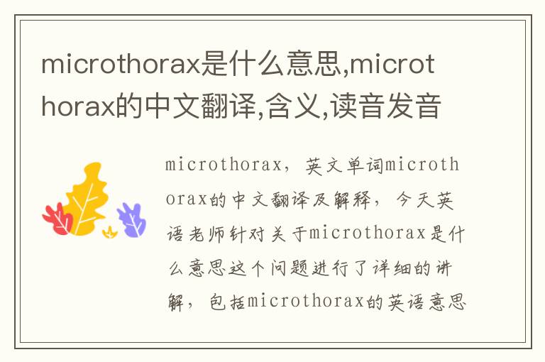 microthorax是什么意思,microthorax的中文翻译,含义,读音发音,用法,造句,参考例句