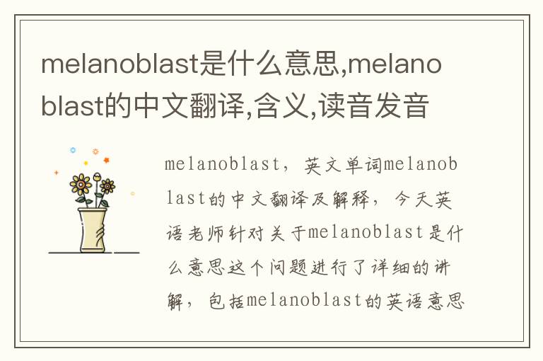 melanoblast是什么意思,melanoblast的中文翻译,含义,读音发音,用法,造句,参考例句