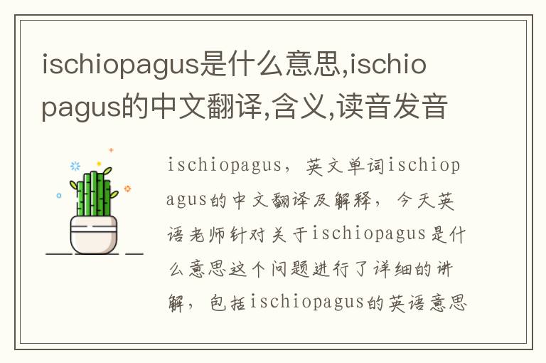 ischiopagus是什么意思,ischiopagus的中文翻译,含义,读音发音,用法,造句,参考例句