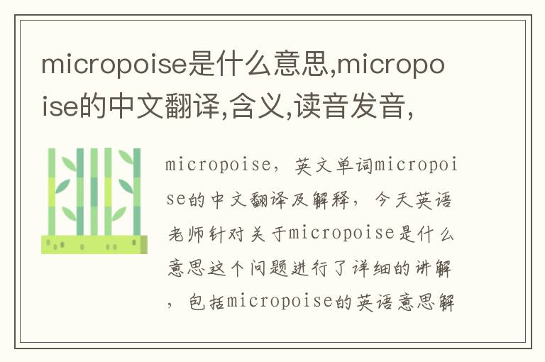 micropoise是什么意思,micropoise的中文翻译,含义,读音发音,用法,造句,参考例句