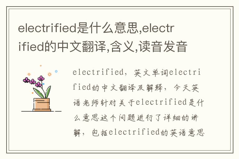 electrified是什么意思,electrified的中文翻译,含义,读音发音,用法,造句,参考例句