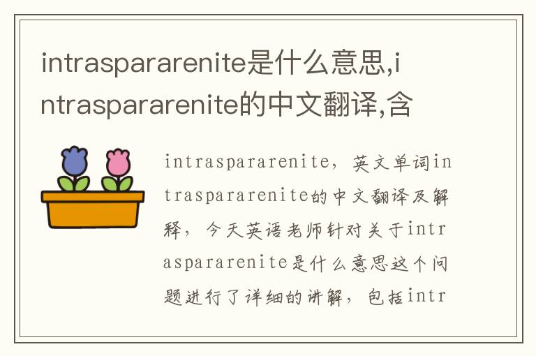 intraspararenite是什么意思,intraspararenite的中文翻译,含义,读音发音,用法,造句,参考例句