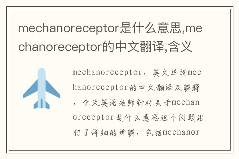 mechanoreceptor是什么意思,mechanoreceptor的中文翻译,含义,读音发音,用法,造句,参考例句