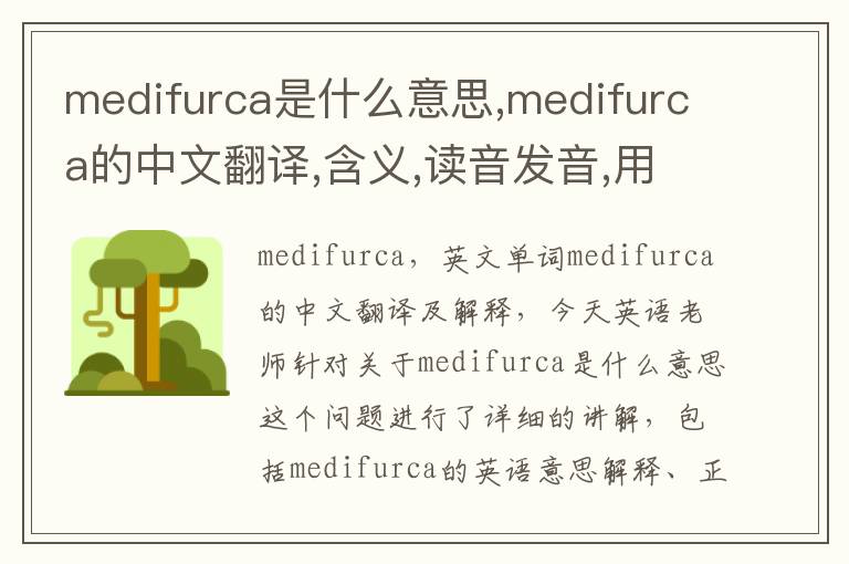 medifurca是什么意思,medifurca的中文翻译,含义,读音发音,用法,造句,参考例句