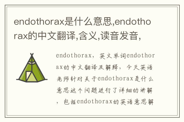 endothorax是什么意思,endothorax的中文翻译,含义,读音发音,用法,造句,参考例句