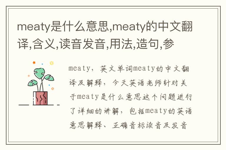 meaty是什么意思,meaty的中文翻译,含义,读音发音,用法,造句,参考例句