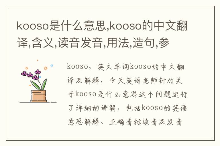 kooso是什么意思,kooso的中文翻译,含义,读音发音,用法,造句,参考例句