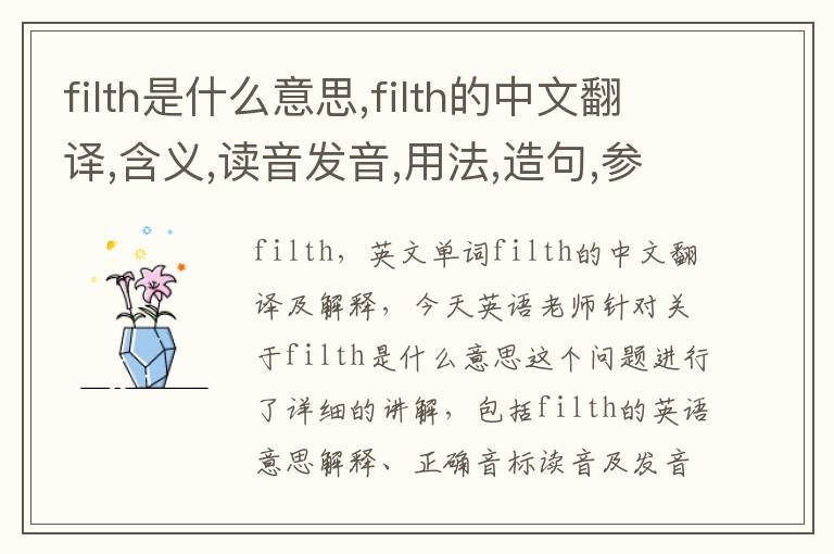 filth是什么意思,filth的中文翻译,含义,读音发音,用法,造句,参考例句