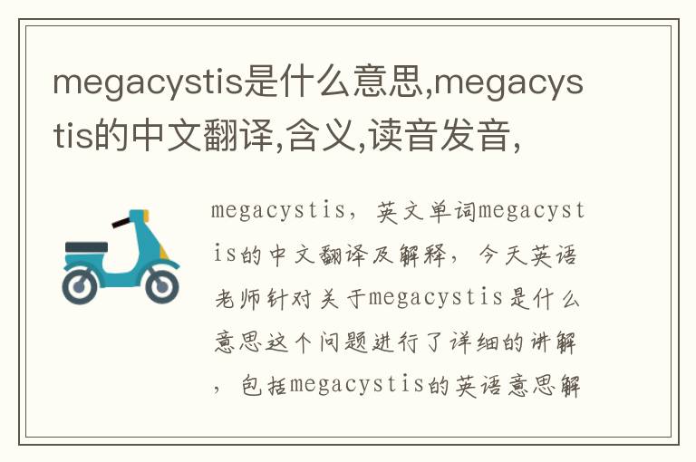 megacystis是什么意思,megacystis的中文翻译,含义,读音发音,用法,造句,参考例句