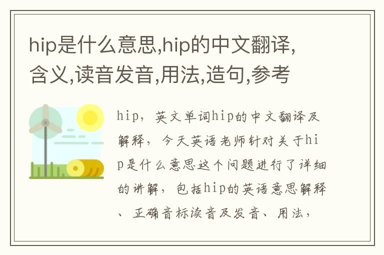 hip是什么意思,hip的中文翻译,含义,读音发音,用法,造句,参考例句