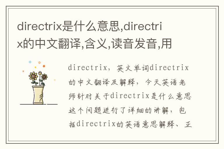 directrix是什么意思,directrix的中文翻译,含义,读音发音,用法,造句,参考例句