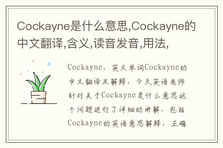 Cockayne是什么意思,Cockayne的中文翻译,含义,读音发音,用法,造句,参考例句