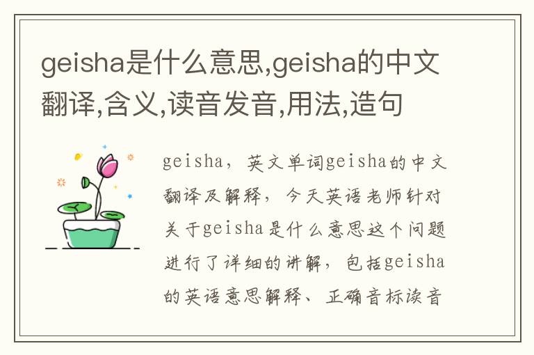 geisha是什么意思,geisha的中文翻译,含义,读音发音,用法,造句,参考例句