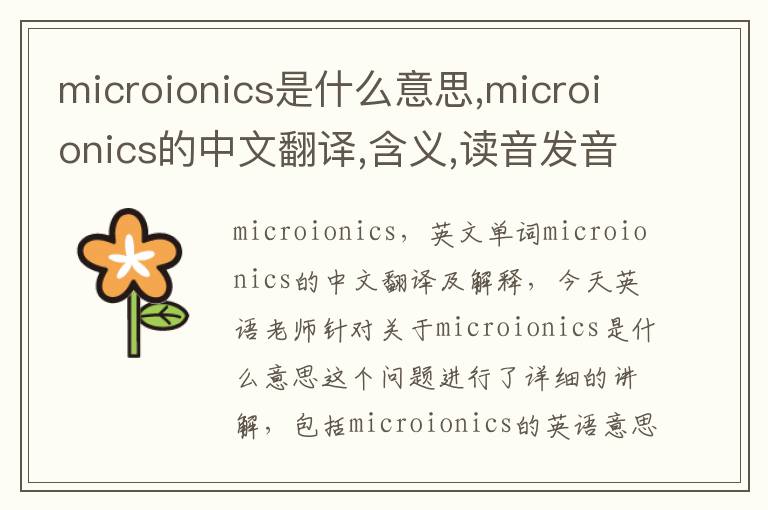 microionics是什么意思,microionics的中文翻译,含义,读音发音,用法,造句,参考例句