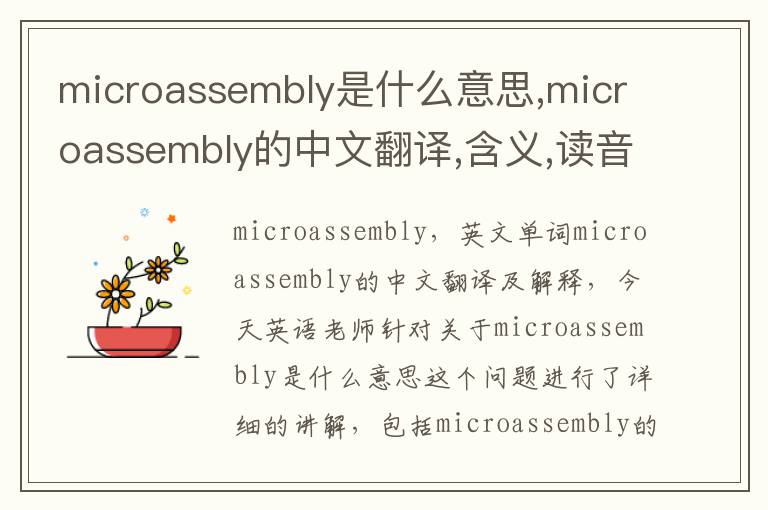 microassembly是什么意思,microassembly的中文翻译,含义,读音发音,用法,造句,参考例句