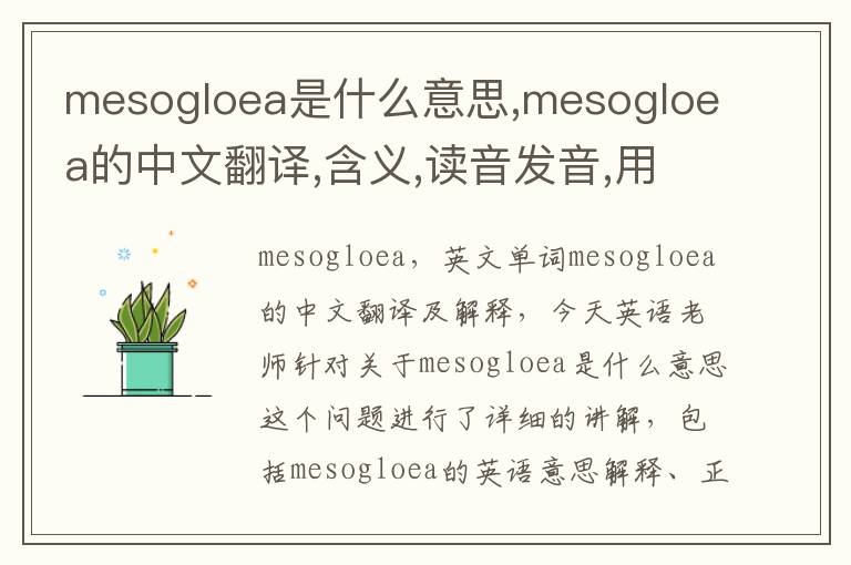 mesogloea是什么意思,mesogloea的中文翻译,含义,读音发音,用法,造句,参考例句