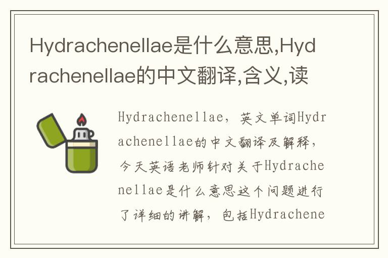 Hydrachenellae是什么意思,Hydrachenellae的中文翻译,含义,读音发音,用法,造句,参考例句