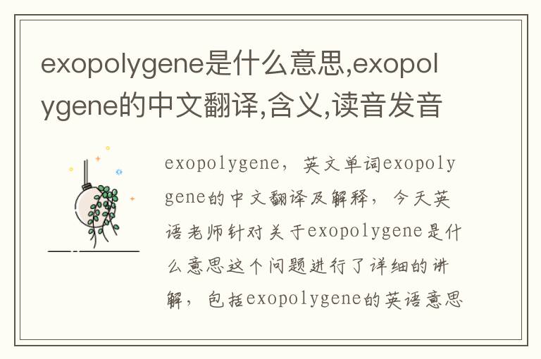 exopolygene是什么意思,exopolygene的中文翻译,含义,读音发音,用法,造句,参考例句