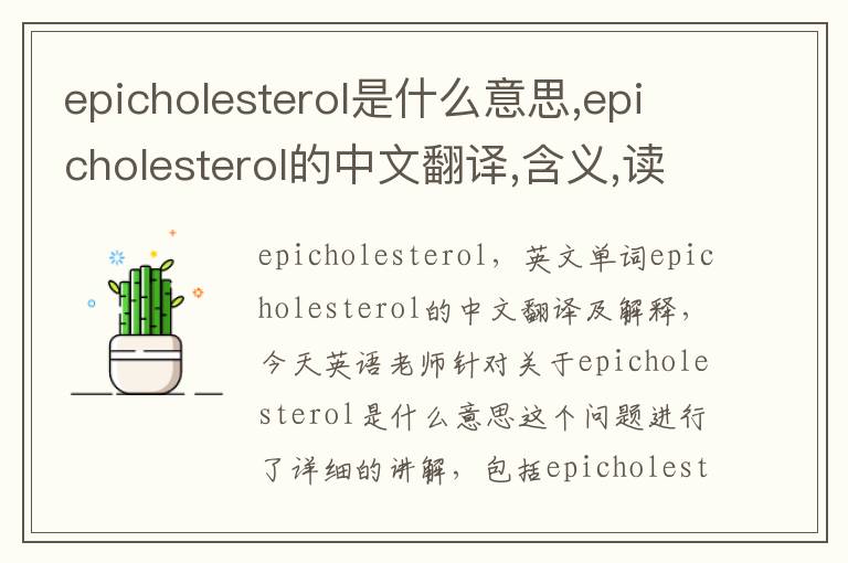 epicholesterol是什么意思,epicholesterol的中文翻译,含义,读音发音,用法,造句,参考例句