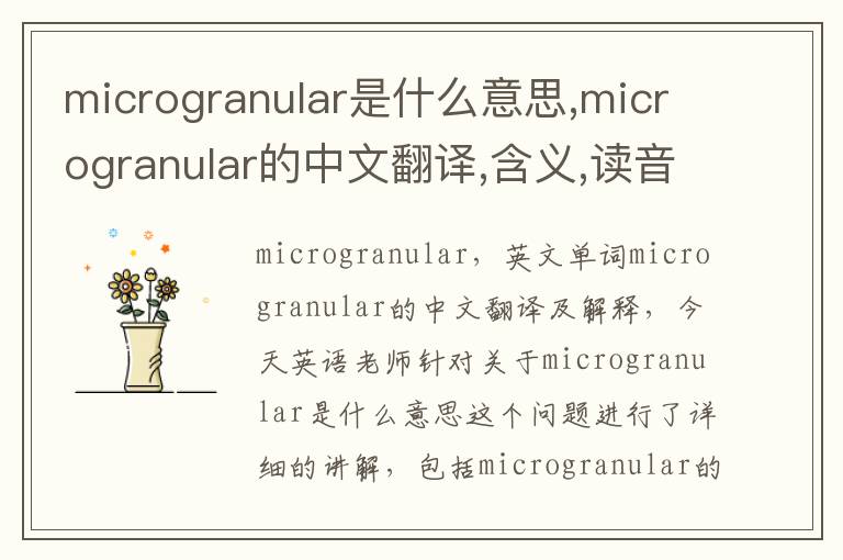 microgranular是什么意思,microgranular的中文翻译,含义,读音发音,用法,造句,参考例句