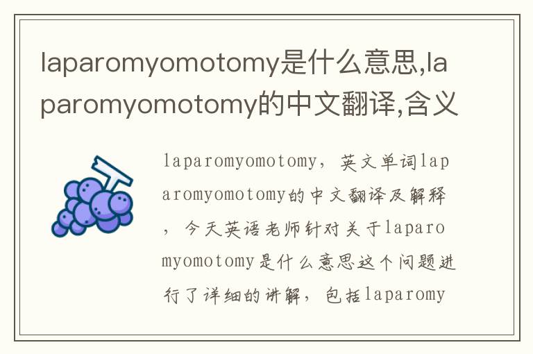 laparomyomotomy是什么意思,laparomyomotomy的中文翻译,含义,读音发音,用法,造句,参考例句