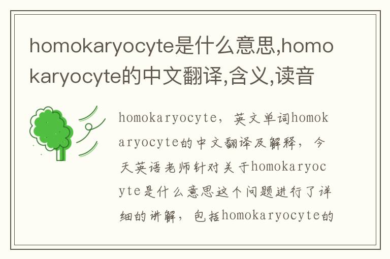 homokaryocyte是什么意思,homokaryocyte的中文翻译,含义,读音发音,用法,造句,参考例句