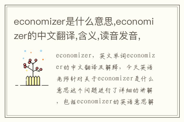 economizer是什么意思,economizer的中文翻译,含义,读音发音,用法,造句,参考例句