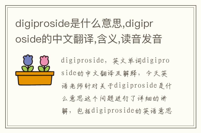 digiproside是什么意思,digiproside的中文翻译,含义,读音发音,用法,造句,参考例句