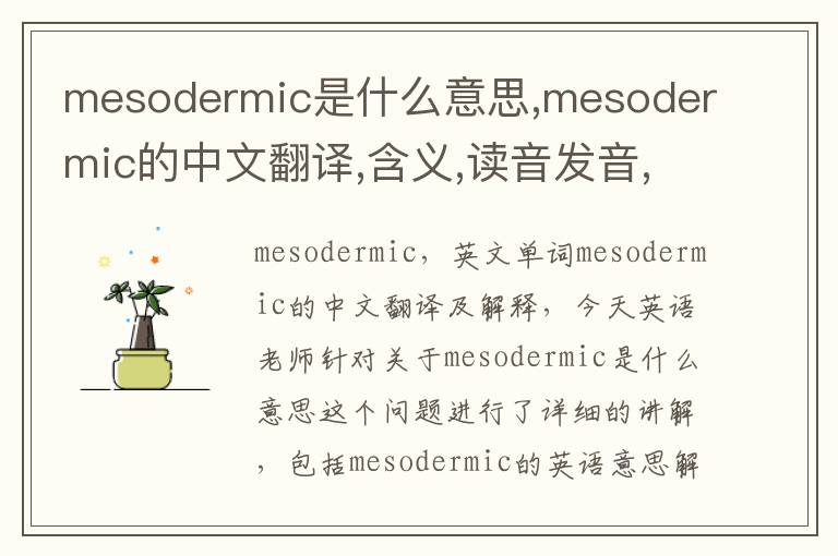 mesodermic是什么意思,mesodermic的中文翻译,含义,读音发音,用法,造句,参考例句