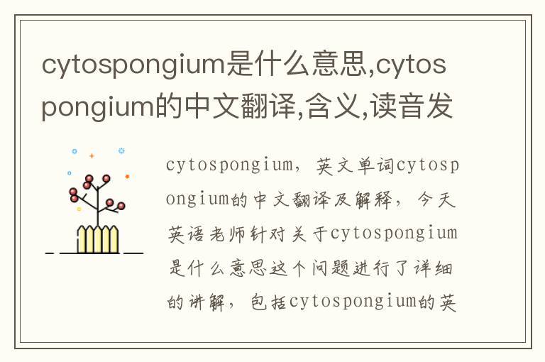 cytospongium是什么意思,cytospongium的中文翻译,含义,读音发音,用法,造句,参考例句